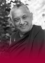 Lama Zopa Rinpoche Photo